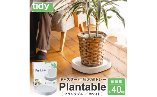 tidy ティディ Plantable（キャスター付植木鉢トレイ）【ホワイト】012EB04N.／台 観葉植物 トレイ プランター 受け皿 受皿 鉢皿 らくらく移動 可動式 軽量 ガーデニング リビング オフィス 玄関 掃除用品 掃除 お掃除 日用品 インテリア 雑貨 おしゃれ