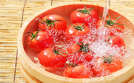トマトはビタミンＡになるβ-カロテンを含んでいて、抗発ガン作用や免疫賦活作用で知られています。