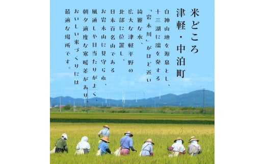 青森県中泊町のふるさと納税 令和5年産 つがるロマン 中泊産 こだわりの有機米 （玄米） 10kg（5kg×2） ＜有機JAS認証＞ 【瑞宝(中里町自然農法研究会)】 9月発送 有機JAS認定 有機米 米 こめ コメ お米 精米 玄米 津軽 無農薬 自然農法 農薬不使用 オーガニック 予約 青森 中泊町 F6N-060