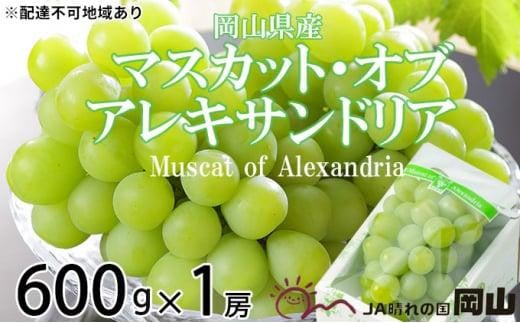 ぶどう 2025年 先行予約 マスカット ・オブ・アレキサンドリア 約600g×1房 6月下旬～7月下旬発送分 ブドウ 葡萄  岡山県産 国産 フルーツ 果物 ギフト 892475 - 岡山県岡山市