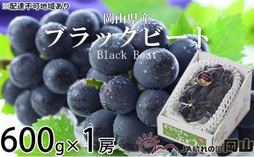 ぶどう 2024年 先行予約 ブラックビート 約600g×1房 ブドウ 葡萄  岡山県産 国産 フルーツ 果物 ギフト[No.5220-1448] 892481 - 岡山県岡山市