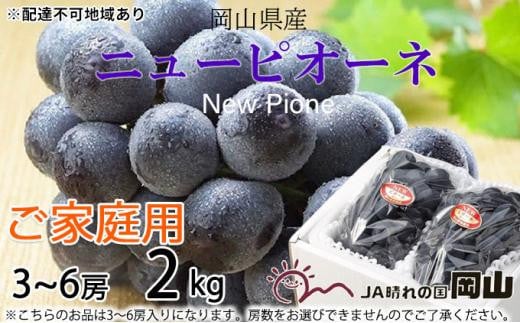 ぶどう 2024年 先行予約 ご家庭用 ニュー ピオーネ 3～6房 約2kg ブドウ 葡萄  岡山県産 国産 フルーツ 果物[No.5220-1475]