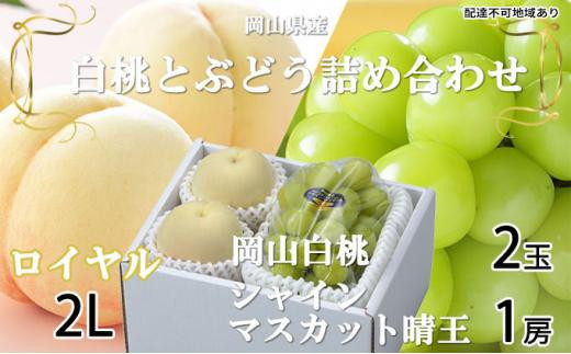 桃 ぶどう 2024年 先行予約 岡山 白桃 ロイヤル 2玉×約250g（2Lサイズ、早生種・中生種） シャイン マスカット 晴王 1房約500g 詰め合わせ 岡山県産 フルーツ[No.5220-0962]