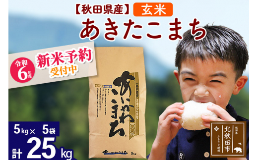 令和6年産 新米予約※秋田県産 あきたこまち 30kg【玄米】(5kg小分け袋