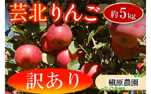 りんご 訳あり ご家庭用 約5kg 槇原農園の芸北りんご 農家直送 シナノスイート ぐんま名月 シナノゴールド ふじ_MA077_002 1262087 - 広島県北広島町