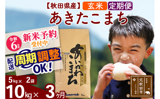 Ⅰ 低温低温冷蔵庫保管 令和5年度産 秋田県産 あきたこまち 玄米 30kg