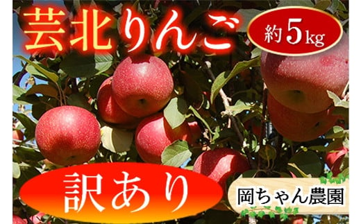 りんご 訳あり ご家庭用 約5kg 岡ちゃん農園の芸北りんご 農家直送 夢つがる 秋映 とき すわっこ シナノスイート 陽光 ぐんま名月 シナノゴールド ふじ_OK066_003 1262107 - 広島県北広島町