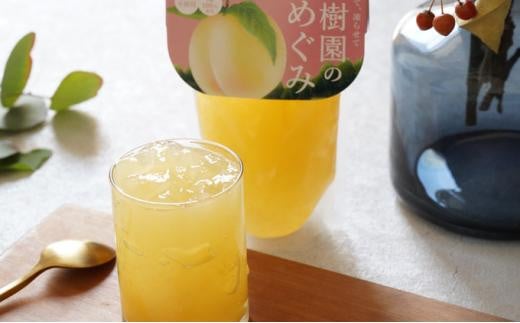 果物のおいしさをぎゅっと！果樹園のめぐみ白桃ゼリー 8個セット 岡山県産 777654 - 岡山県岡山市