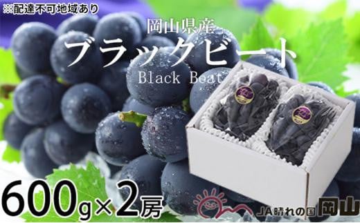 ぶどう 2024年 先行予約 ブラックビート 約600g×2房 ブドウ 葡萄  岡山県産 国産 フルーツ 果物 ギフト[No.5220-1452] 892485 - 岡山県岡山市