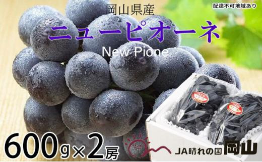 ぶどう 2025年 先行予約  ニュー ピオーネ 約600g×2房 ブドウ 葡萄  岡山県産 国産 フルーツ 果物 ギフト 777565 - 岡山県岡山市