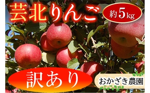 りんご 訳あり ご家庭用 5kg おかざき農園の芸北りんご 農家直送 秋ばえ 陽光 ぐんま名月 あいかの香り ふじ_OK097_002 1262108 - 広島県北広島町