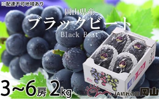 ぶどう 2024年 先行予約 ブラックビート 約2kg 3房～6房 ブドウ 葡萄  岡山県産 国産 フルーツ 果物 ギフト[No.5220-1454] 892487 - 岡山県岡山市