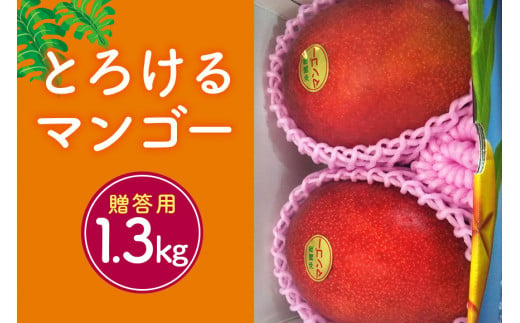 【2024年発送】かねよしマンゴーの甘くとろけるマンゴー1.3kg（大玉650g以上）（贈答用）