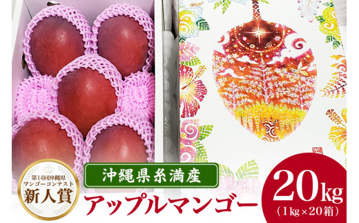 【2024年発送】沖縄県糸満産の「濃厚アップルマンゴー」20kg！（1kg×20箱）生産者：ゆいぐくるマンゴー