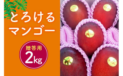 【2024年発送】かねよしマンゴーの甘くとろけるマンゴー2kg（贈答用） 286582 - 沖縄県糸満市