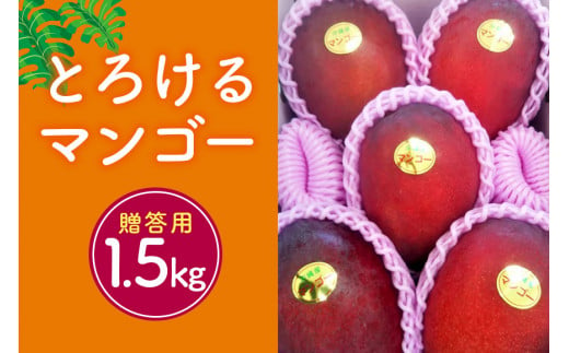 【2024年発送】かねよしマンゴーの甘くとろけるマンゴー1.5kg（贈答用） 527358 - 沖縄県糸満市