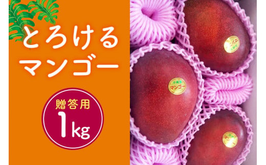 【2024年発送】かねよしマンゴーの甘くとろけるマンゴー1kg（贈答用） 527357 - 沖縄県糸満市