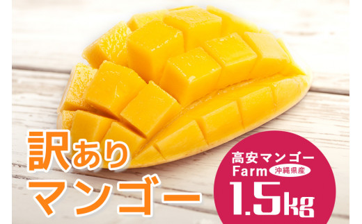 【2024年発送】高安マンゴーFarm　産地直送！！沖縄県産　訳ありマンゴー1.5kg