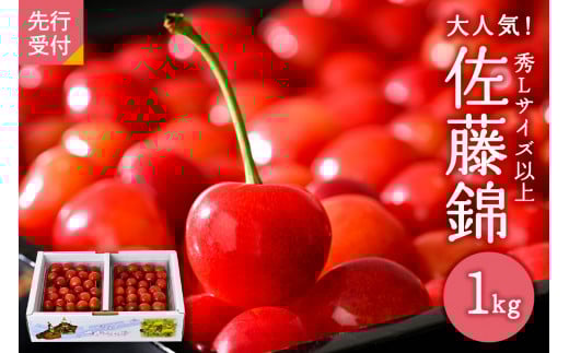 [令和8年産]さくらんぼ「佐藤錦」秀L以上1kgバラ詰 (500g×2パック)[JAさがえ西村山] ka008-008e-r8