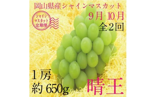 【定期便 全2回】ぶどう 2024年 先行予約 9月・10月発送 シャイン マスカット 晴王 1房 約650g ブドウ 葡萄  岡山県産 国産 フルーツ 果物 ギフト 1154188 - 岡山県岡山市