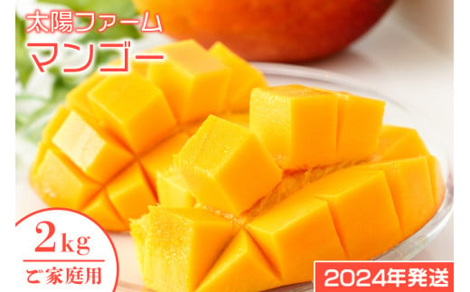 【2024年発送】農家直送！太陽ファームのマンゴー2kg（ご家庭用） 277058 - 沖縄県糸満市