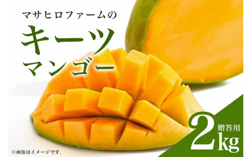 【2024年発送】沖縄マンゴー農園マサヒロファームのキーツマンゴー（贈答用）2kg