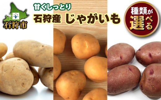 [品種を選べる]石狩産じゃがいも(男爵・とうや・レッドムーン・3種混合)10kg・15kg|ふるさと納税 石狩市 北海道 北海道産 ジャガイモ 芋 イモ じゃが芋 薯 洞爺 レッド