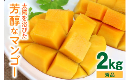 【2024年発送】沖縄の太陽を浴びた芳醇なマンゴー 2kg（秀品） 278107 - 沖縄県糸満市