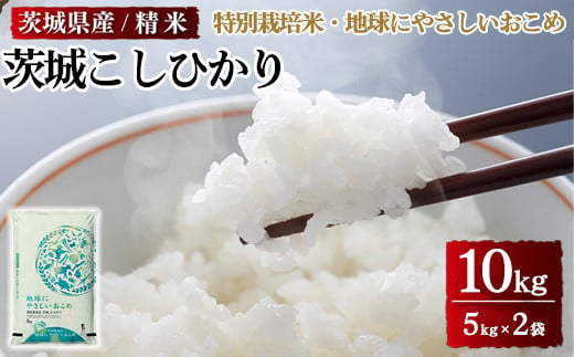茨城県産特別栽培米 地球にやさしいおこめ 茨城こしひかり 10kg※離島への配送不可