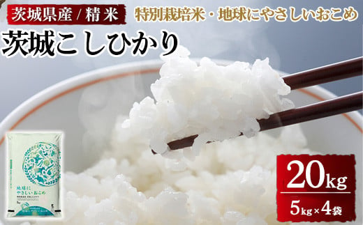 茨城県産特別栽培米 地球にやさしいおこめ 茨城こしひかり 20kg※離島への配送不可