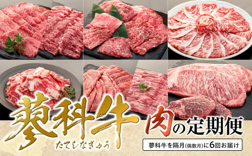 肉の定期便　蓼科牛を隔月（偶数月）に6回お届け 732546 - 長野県立科町