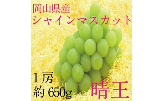 ぶどう 2024年 先行予約 シャイン マスカット 晴王 1房 約650g  ブドウ 葡萄  岡山県産 国産 フルーツ 果物 ギフト [No.5220-1671] 1154186 - 岡山県岡山市