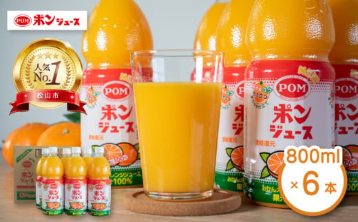 みかんジュース ポンジュース 4.8L ( 800ml × 6本 ) みかん ジュース みかんジュース オレンジジュース 果汁飲料 ペットボトル 果汁 100％ 飲料 愛媛県 松山市 人気おすすめ