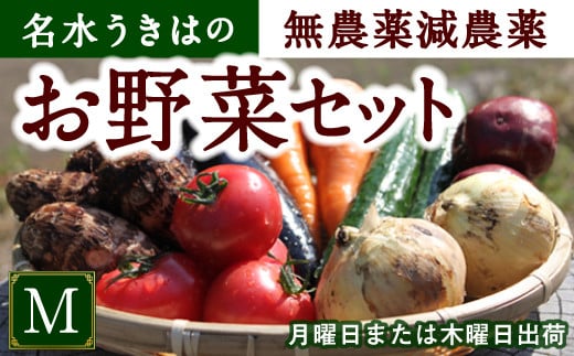 P332-M UIC 名水うきはの無農薬減農薬お野菜セットM 214652 - 福岡県うきは市