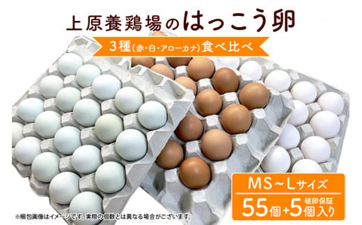 上原養鶏場のはっこう卵　3種食べ比べMS~Lサイズ 55個+破卵保障5個