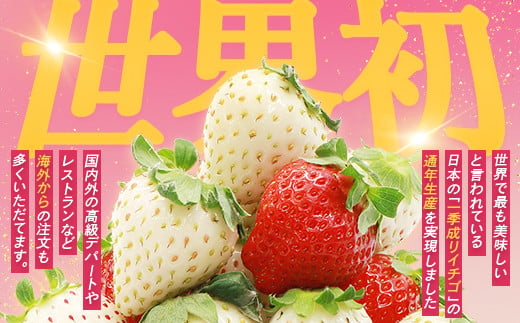 【北海道産】ゆきいちご（ゆきぼたん/すず）赤白ＭＩＸ×２Ｐセット 250g×2 計500g