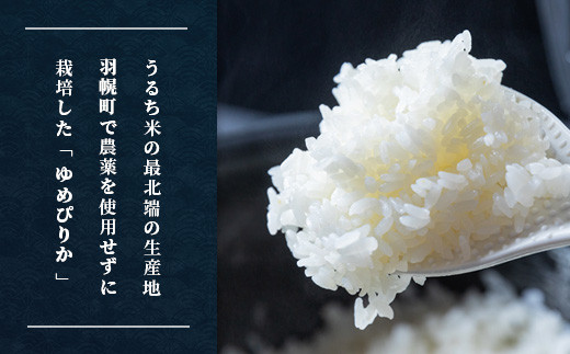 完全無農薬で栽培したお米 北海道産 特別栽培米 ゆめぴりか　5kg