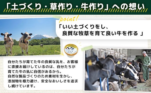 ニセコ高橋牧場ミルク工房 カップアイス3種10個セット【0311401】