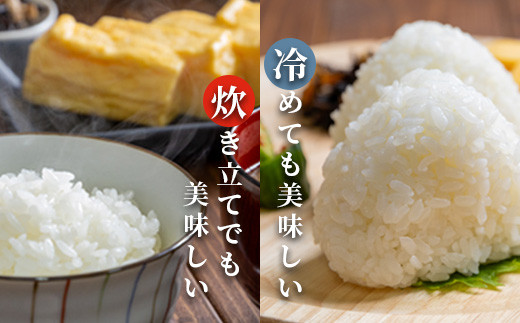 完全無農薬で栽培したお米 北海道産 特別栽培米 ゆめぴりか　10kg