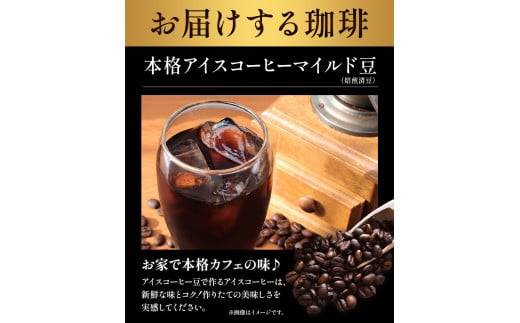 本格アイスコーヒーマイルド豆 500g 豆 or 挽 ＆古墳珈琲ドリップバッグ 1袋 株式会社ばいせん工房  珈琲倶楽部《30日以内に出荷予定(土日祝除く)》大阪府 羽曳野市 コーヒー 豆 アイスコーヒー マイルド豆