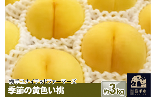 季節の黄色い桃 約3kg 1022955 - 秋田県横手市