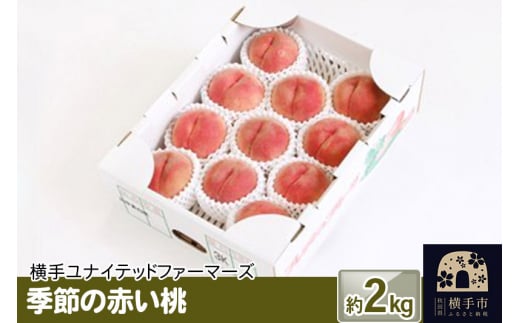 季節の赤い桃 約2kg 1022975 - 秋田県横手市