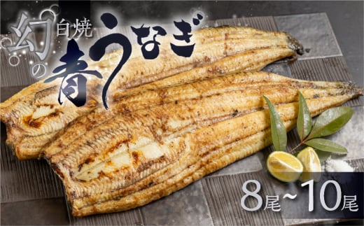 【冷蔵】厳選 高級 青うなぎ 白焼 8尾 1200g