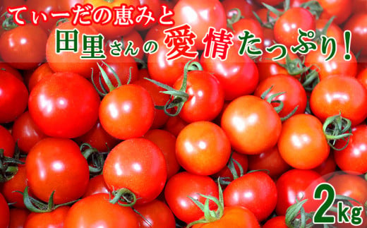 てぃーだの恵みと田里さんの愛情たっぷり!ミニトマト 赤2kg