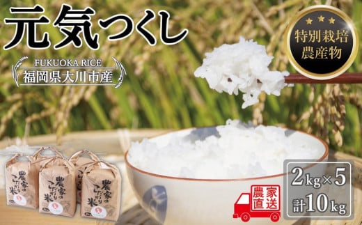 白米(特別栽培農産物)元気つくし 2kg×5袋 (計10kg) 1283461 - 福岡県大川市