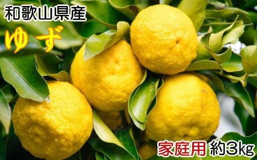 和歌山県産 柚子約3kg （ご家庭用）【TM119】 1263771 - 和歌山県由良町