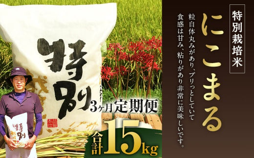 【3ヶ月定期便】相良村産 特別栽培米 にこまる 5kg  1256543 - 熊本県相良村