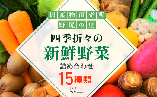 四季折々の新鮮野菜詰め合わせ 旬をお届け! 【15種類以上】 ANAR008