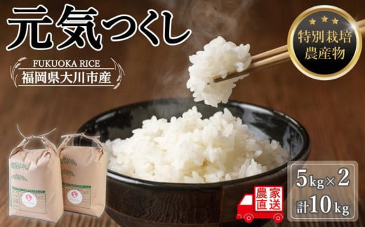 白米(特別栽培農産物)元気つくし 5kg×2袋 (計10kg) 1283460 - 福岡県大川市