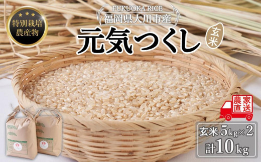 玄米(特別栽培農産物)元気つくし 5kg×2袋 (計10kg) 1283458 - 福岡県大川市